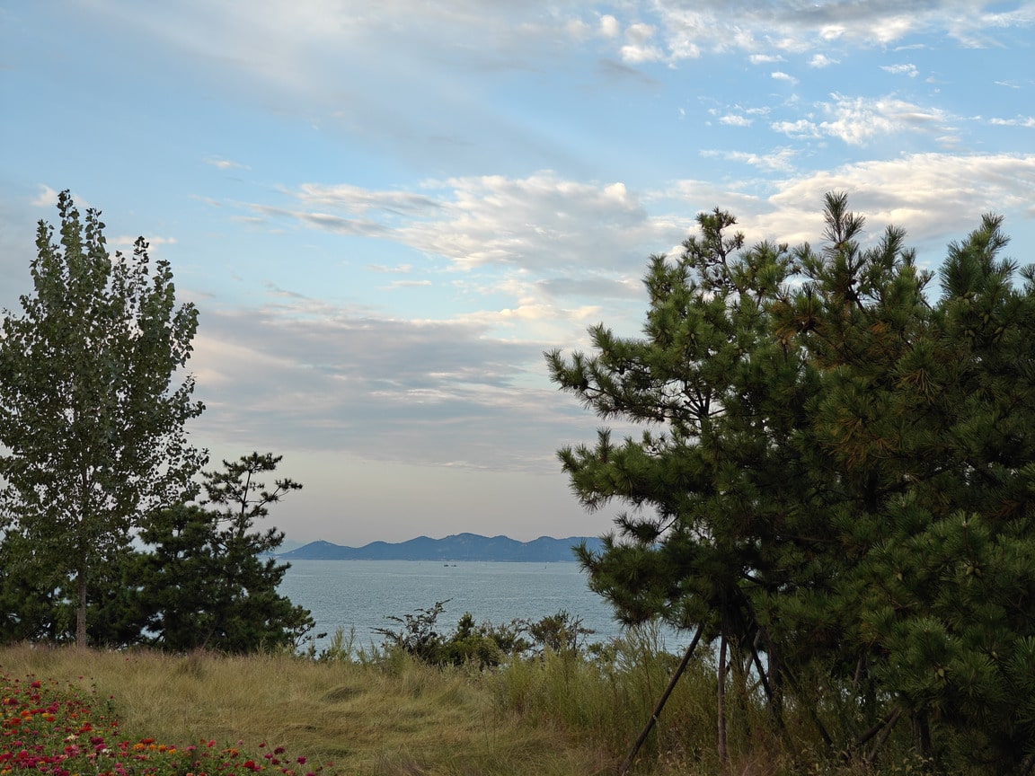 2021-2024年的总结（上）